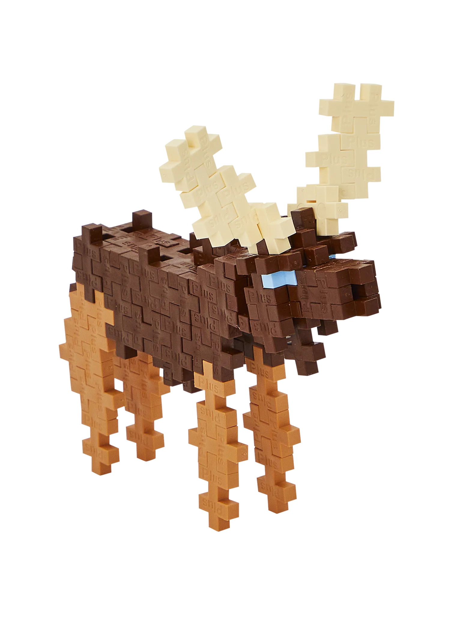 Moose